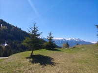 CHALET A VENDRE - LA PLAGNE TARENTAISE - 32 m2 - 244 000 €