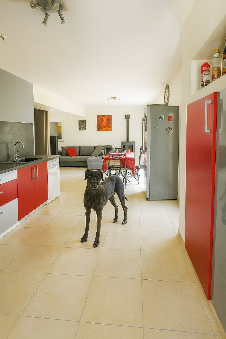 MAISON A USADE D HABITATION AVEC TERRAIN ATTENANT A VENDRE - ST GERMAIN - 109 m2 - 235 000 €